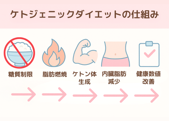 ケトジェニックダイエットの仕組み