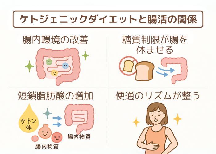腸活×ケトジェニックの仕組み